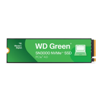 SSD диск 1 Tb Western Digital Green SN3000 (WDS100T4G0E)