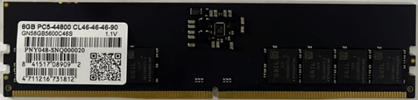 Оперативная память 8 Gb DDR5 5600MHz Geil GN58GB5600C46S OEM