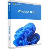 Операционная система Microsoft Windows 11 Pro 64-bit Электронный ключ на 1 ПК (FQC-10572)