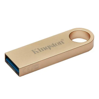 USB-накопитель 256 Gb Kingston DataTraveller SE9 G3 (DTSE9G3/256GB)